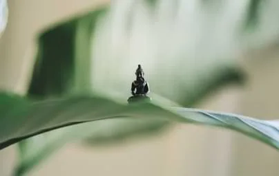 丰富互动体验，赋能数字娱乐新纪元 - leuyu2